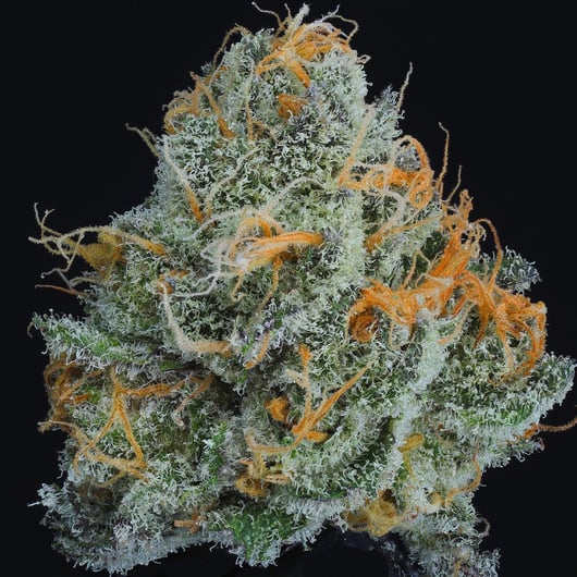 Cherry Vanilla Cookies