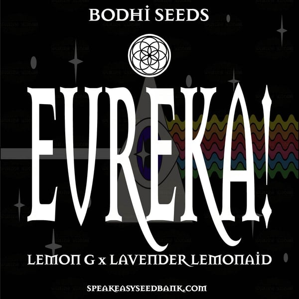 Bodhi Seeds presents Eureka!