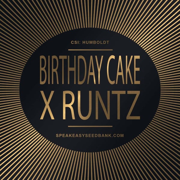 Speakeasy presents Birthday Cake x Runtz