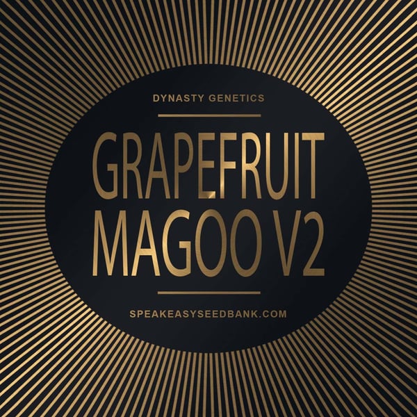 Speakeasy presents Grapefruit Magoo V2