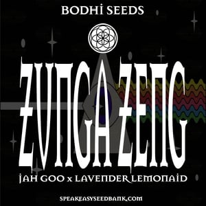 Bodhi presents Zunga Zeng