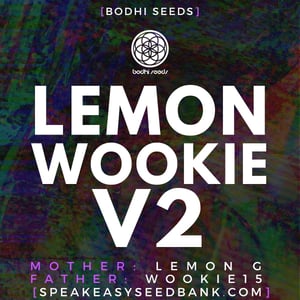 Lemon Wookie V2 by Bodhi Seeds