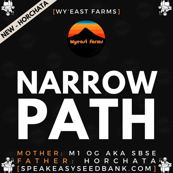 Speakeasy presents Narrow Path by Wy'east Farms