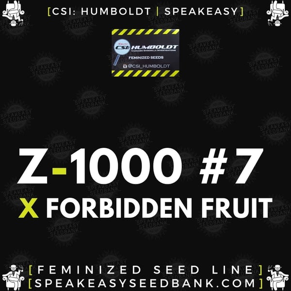 Speakeasy presents Z1000 no.7 x Forbidden Fruit