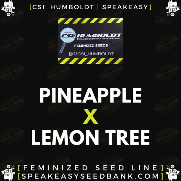 Speakeasy presents Pineapple x Lemon Tree
