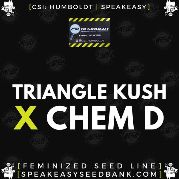 Speakeasy presents Triangle Kush x Chemdog D