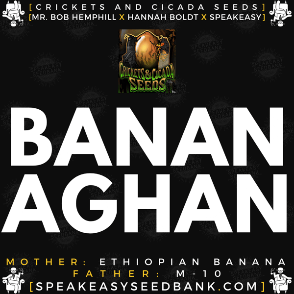 Speakeasy presents Bananaghan