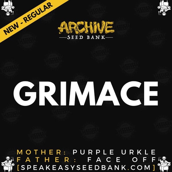 Speakeasy presents Grimace by Archive Seed Bank