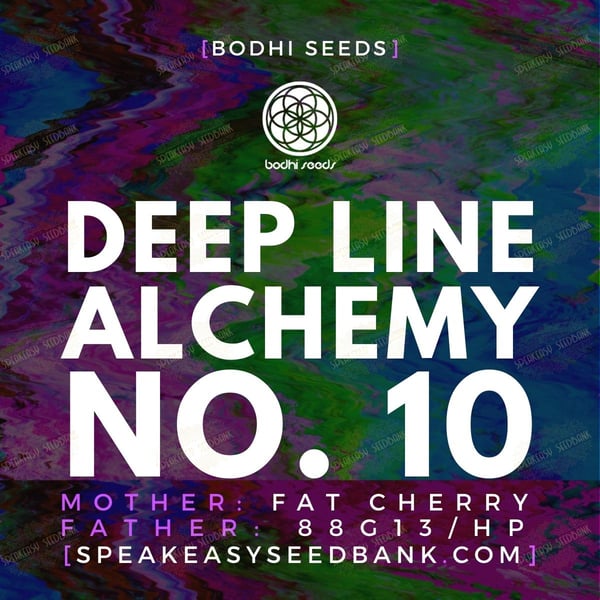 Deep Line Alchemy No.10 by Bodhi Seeds