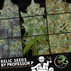 Relic Seeds and Dynasty Genetics