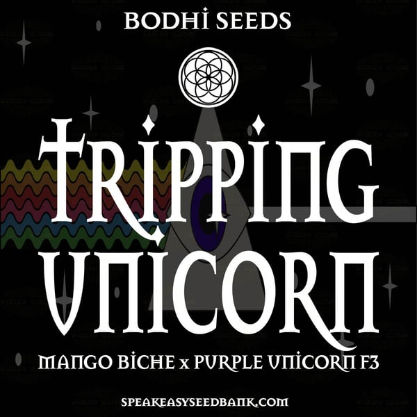 Bodhi Seeds presents Tripping Unicorn