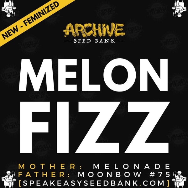 Speakeasy presents Melon Fizz by Archive Seed Bank