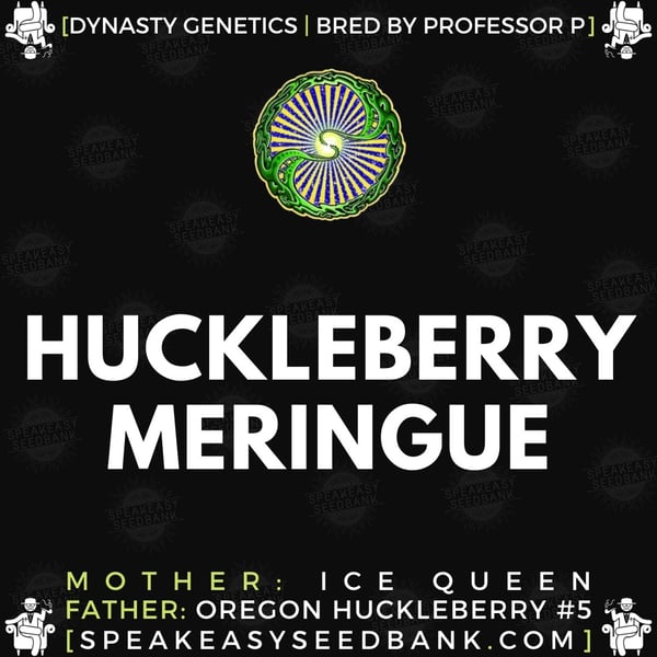 Speakeasy presents Huckleberry Meringue