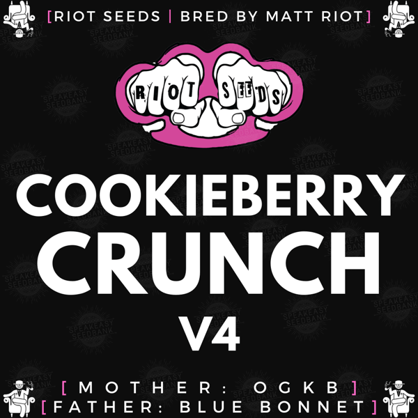 Speakeasy presents Cookieberry Crunch v4 by Riot Seeds