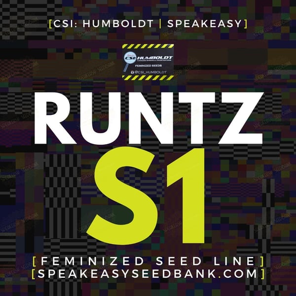 Runtz S1 by CSI Humboldt