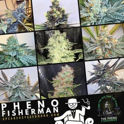 Pheno Fisherman | Speakeasy Collection