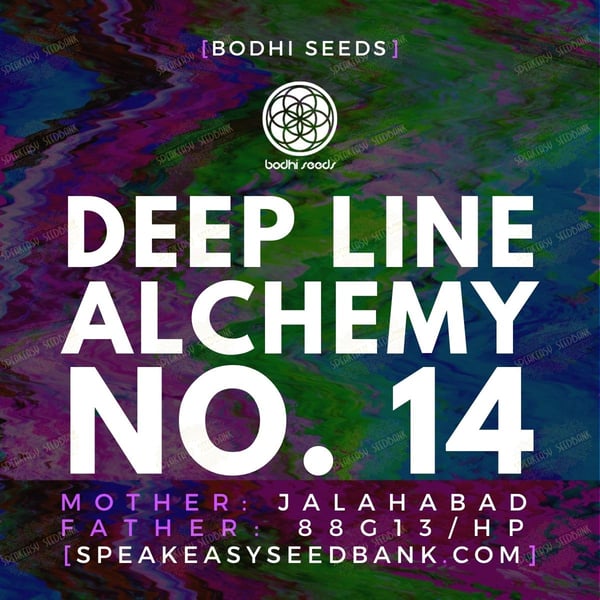 Deep Line Alchemy No.14 by Bodhi Seeds
