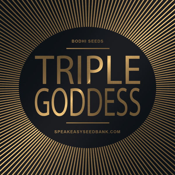 Speakeasy presents Triple Goddess