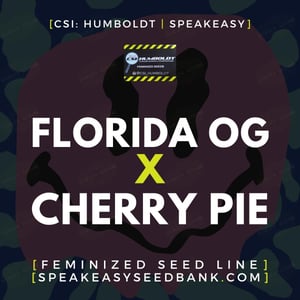 Florida OG x Cherry Pie by CSI Humboldt