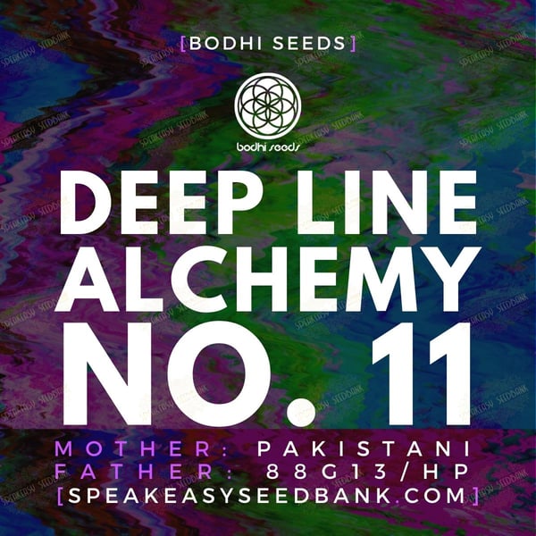Deep Line Alchemy No.11 by Bodhi Seeds