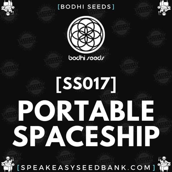 Speakeasy presents Supernatural Selections no.17 - Portable Spaceship