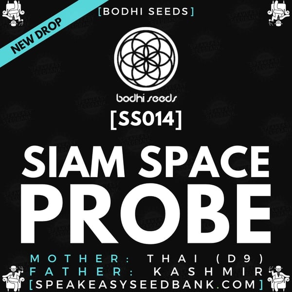 Speakeasy presents Siam Space Probe