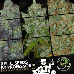 Relic Seeds | Speakeasy Collection