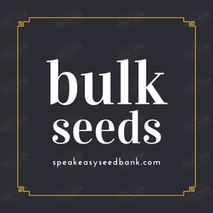 Bulk Seeds