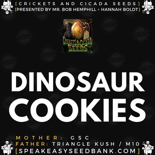 Speakeasy presents Dinosaur Cookies by Crickets and Cicada Seeds