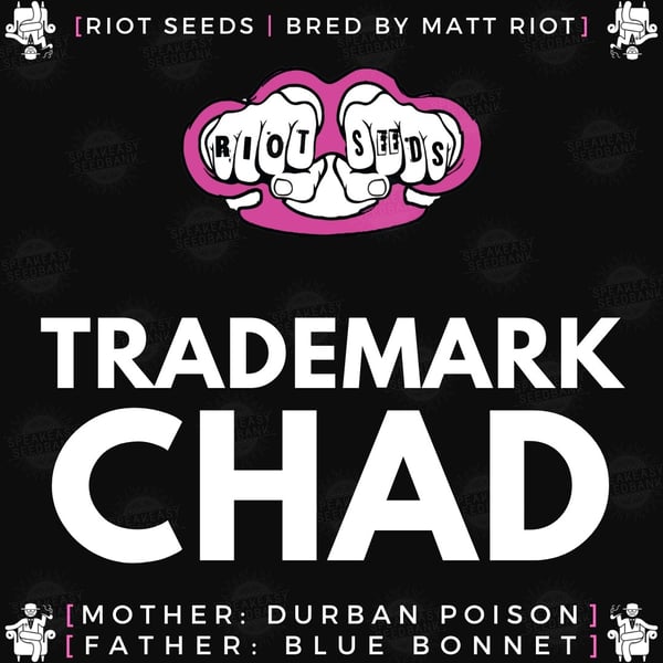 Speakeasy presents Trademark Chad