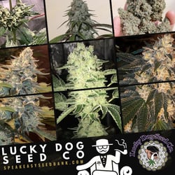 Lucky Dog Seed Co | Speakeasy Collection