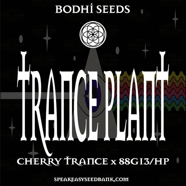 Bodhi Seeds presents Trance Plant