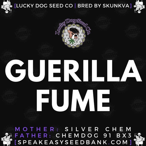 Speakeasy presents Guerilla Fume