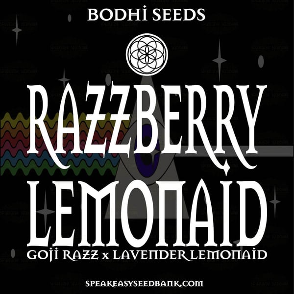 Bodhi Seeds presents Razzberry Lemonaid