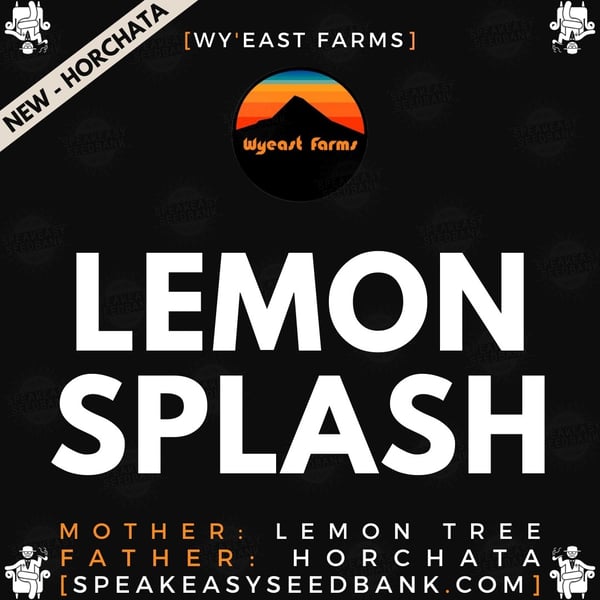 Speakeasy presents Lemon Splash by Wy'east Farms