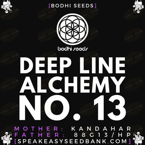 Speakeasy presents Deep Line Alchemy 13