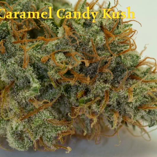 Caramel Candy Kush