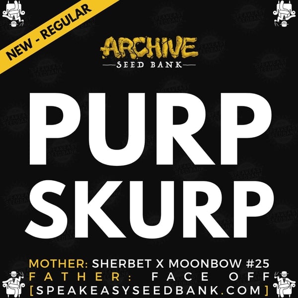 Speakeasy presents Purp Skurp by Archive Seed Bank