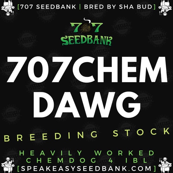 707 Seedbank presents 707 Chemdawg