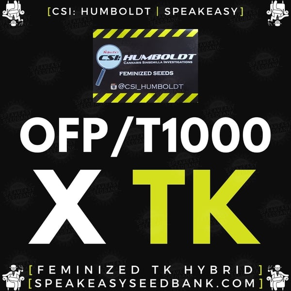 Speakeasy presents OFP / T-1000 x Triangle Kush by CSI Humboldt