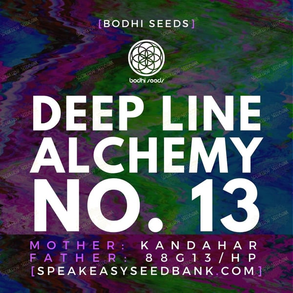 Deep Line Alchemy No.13 by Bodhi Seeds