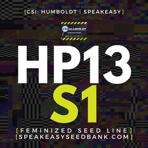 HP13 S1 by CSI Humboldt