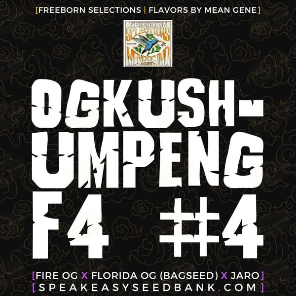 OGKUSHUMPENG by Freeborn Selections
