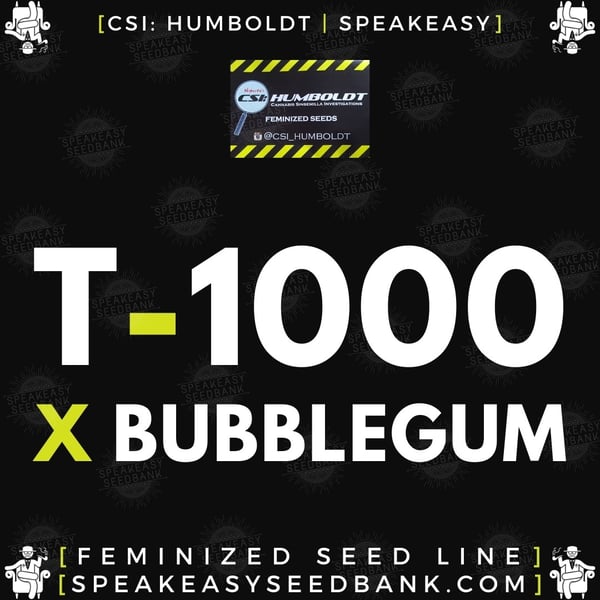 Speakeasy presents T-1000 x Bubblegum