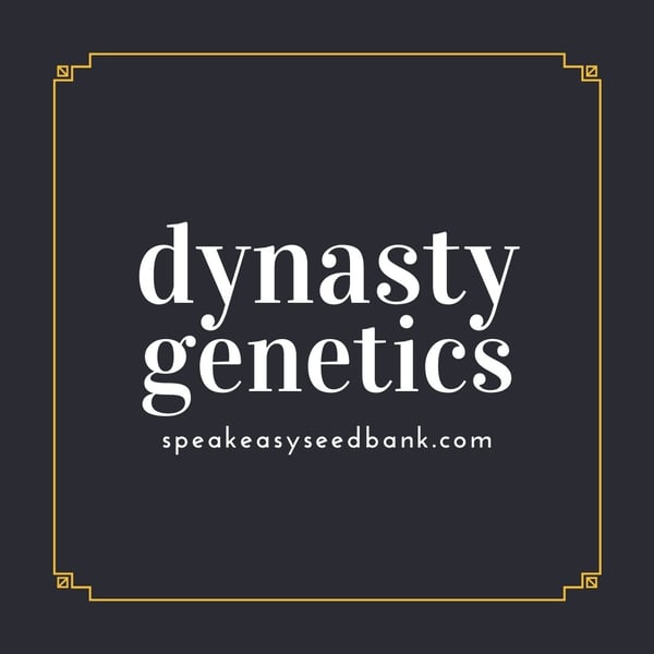 Speakeasy presents Dynasty Genetics