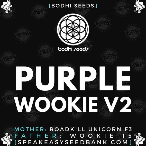 Speakeasy presents Purple Wookie version 2 (Bodhi Seeds)