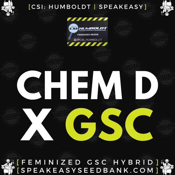 Speakeasy presents Chem D x GSC by CSI Humboldt (Feminized Seeds)