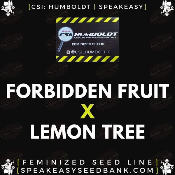 Speakeasy presents Forbidden Fruit x Lemon Tree
