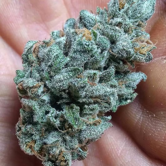 Deep Line Alchemy no.004