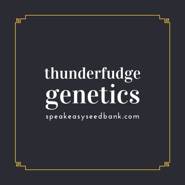 Speakeasy presents Thunderfudge Genetics (coming soon)